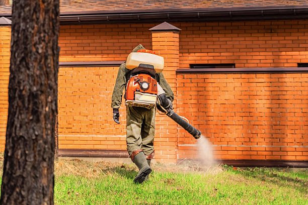 Trusted Mosquito Control service in Brooklyn Heights, OH - Nex Pest Control